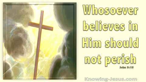 John 3:15 Whoever Believes In Him (lemon)